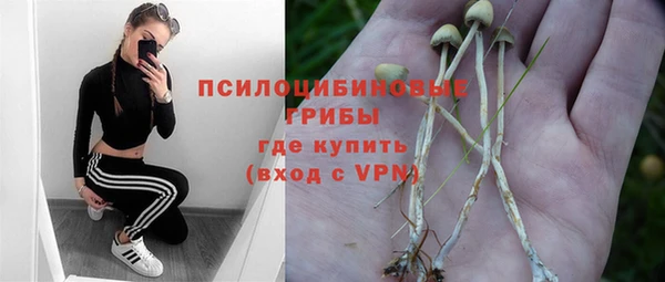 мяу мяу мука Беломорск