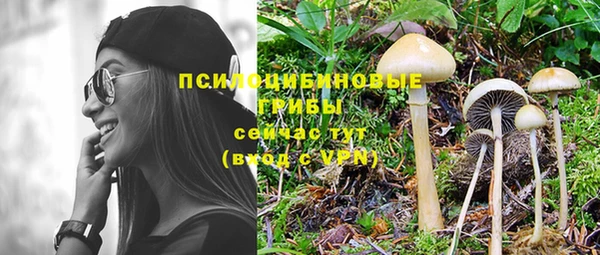 мяу мяу мука Беломорск