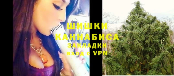 круглые Белокуриха